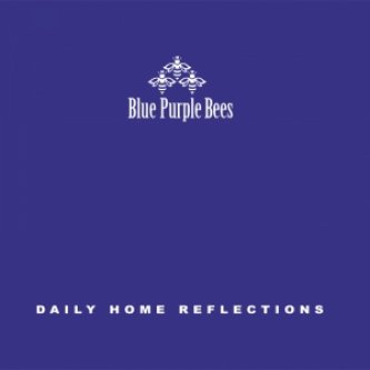 Copertina dell'album Daily Home Reflections, di Blue Purple Bees