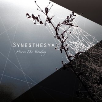 Copertina dell'album Synesthesya EP, di Horses Die Standing