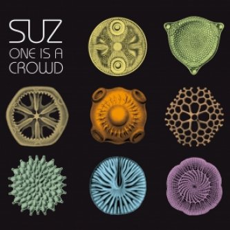 Copertina dell'album One Is A Crowd, di Suz