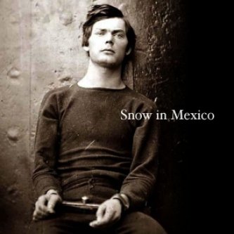 Copertina dell'album Snow in Mexico, di Snow in mexico