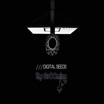 Copertina dell'album Digital Seeds, di The GrOOming