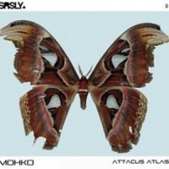 Copertina dell'album Attacus atlas, di Mohko