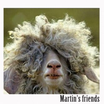 Copertina dell'album Martin's friends, di Martin's friends