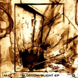 Copertina dell'album Blossom/Blight EP, di I.M.G.