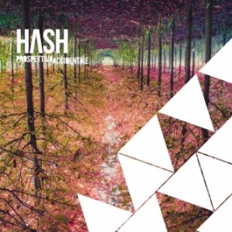 Copertina dell'album Prospettiva Accidentale, di Hash