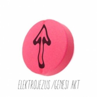 Copertina dell'album Genesi Akt, di elektrojezus