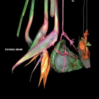 Copertina dell'album Colour, di Hysterical Sublime