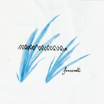Copertina dell'album fonzarelli, di Jumping the shark
