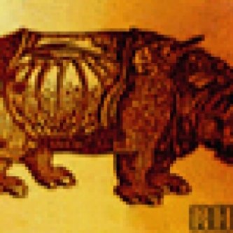 Copertina dell'album RHINO, di Rhino