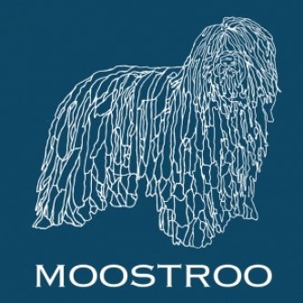 Copertina dell'album MOOSTROO, di MOOSTROO