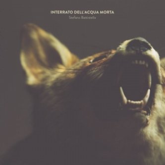 Copertina dell'album Interrato dell'Acqua Morta, di Stefano Battistella