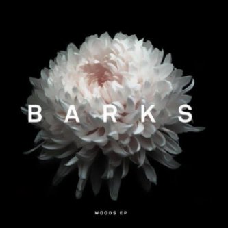 Copertina dell'album Woods EP, di Barks