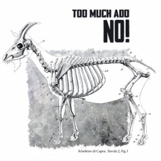 Copertina dell'album NO!, di Too Much Ado