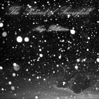 Copertina dell'album the sound of snowfall EP, di My Dead Idols