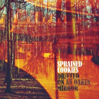 Copertina dell'album Drifted On An Oaken Mirror, di Sprained Cookies