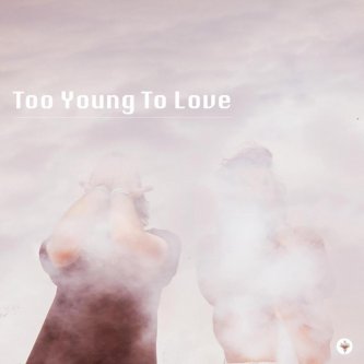 Copertina dell'album Hiding Place, di Too Young To Love