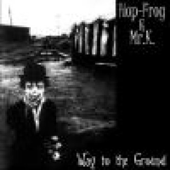 Copertina dell'album Way to the ground, di Hop-Frog & Mr. K.