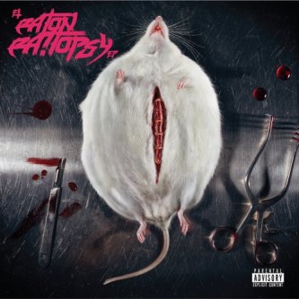 Copertina dell'album Rattopsy EP, di Hell Raton