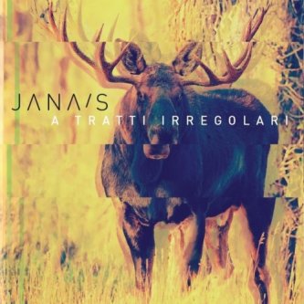 Copertina dell'album A TRATTI IRREGOLARI, di Jana's