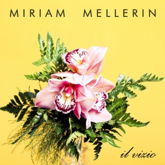 Copertina dell'album Il Vizio, di Miriam Mellerin