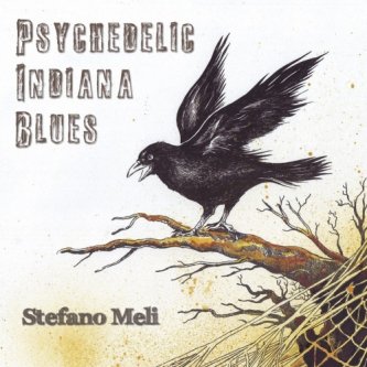 Copertina dell'album Psychedelic Indiana Blues, di stefano meli