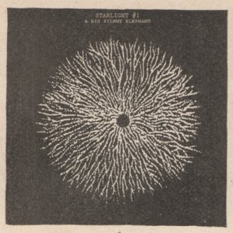 Copertina dell'album Starlight EP, di a Big Silent Elephant