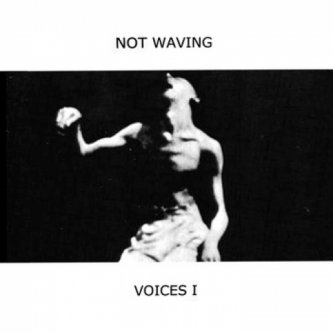Copertina dell'album Voices I, di Not Waving