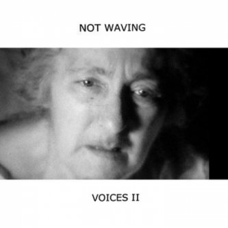 Copertina dell'album Voices II, di Not Waving
