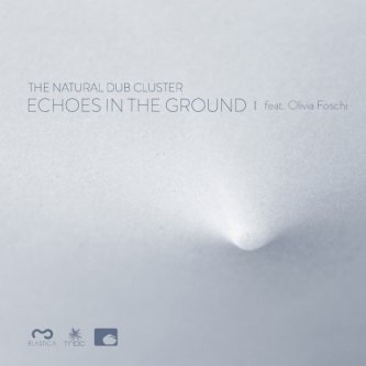 Copertina dell'album Echoes in the Ground, di The Natural Dub Cluster