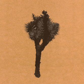 Copertina dell'album Yucca, di Stereodiva