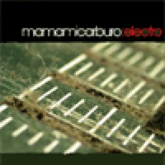 Copertina dell'album Electro, di Mamamicarburo