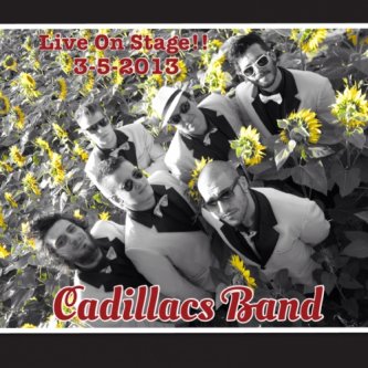 Copertina dell'album The Cadillacs Band - Live on Stage, di The Cadillacs Band