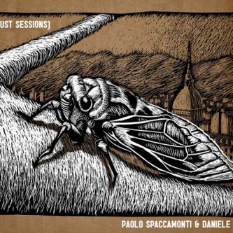 Copertina dell'album Burnout (august sessions), di Paolo Spaccamonti & Daniele Brusaschetto