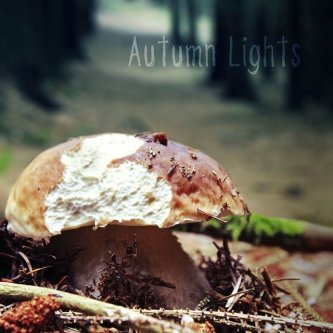 Copertina dell'album AUTUMN LIGHTS, di DEM Rockblues Trio