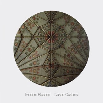 Copertina dell'album Naked Curtains EP, di Modern Blossom