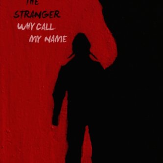 Copertina dell'album Why call my name, di TheStranger