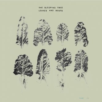 Copertina dell'album Leaves And Roots, di The Sleeping Tree