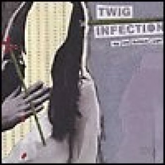Copertina dell'album The big blowjay omp, di Twig Infection