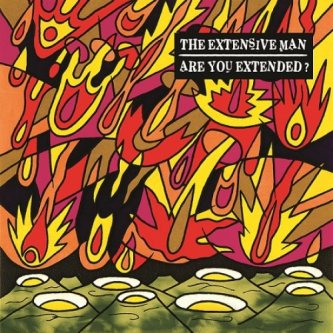 Copertina dell'album "are You extended?", di The Extensive Man