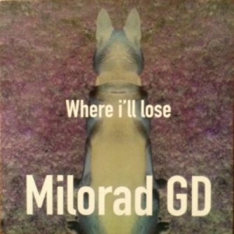 Copertina dell'album Where I’ll lose (EP), di Milorad GD