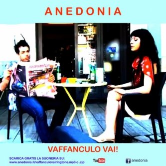Copertina dell'album Vaffanculo Vai (singolo), di Anedonia