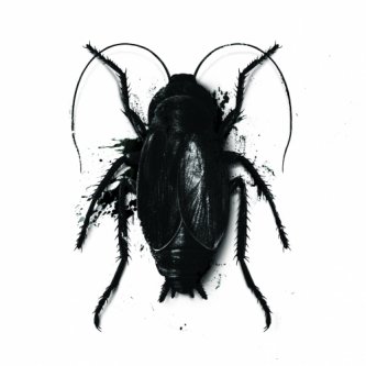Copertina dell'album di Blatta in Blatta, di La sindrome della morte improvvisa