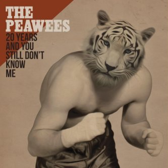 Copertina dell'album 20 years and you still don't know me, di Peawees
