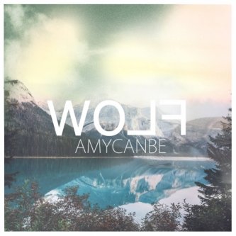 Copertina dell'album Wolf, di Amycanbe