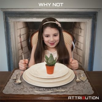 Copertina dell'album WHY NOT, di Attribution