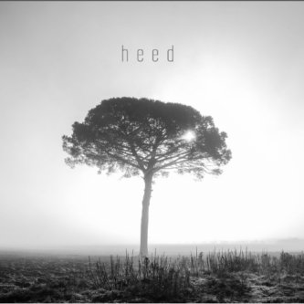 Copertina dell'album Heed, di Ginkgo Dawn Shock