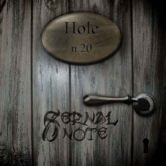 Copertina dell'album Hole n.20, di 8ernalnote