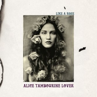 Copertina dell'album Like a rose, di Alice Tambourine Lover