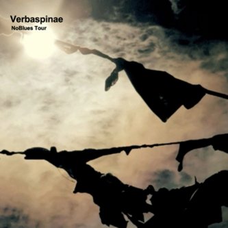 Copertina dell'album noBluesTour, di Verbaspinae