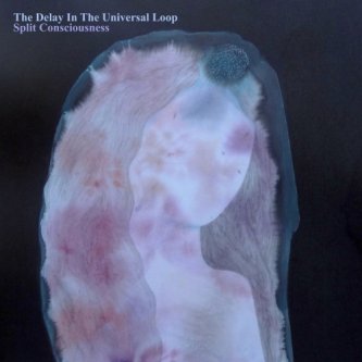 Copertina dell'album Split Consciousness, di The Delay In The Universal Loop